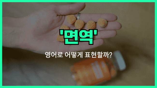 'immunity' 영어표현