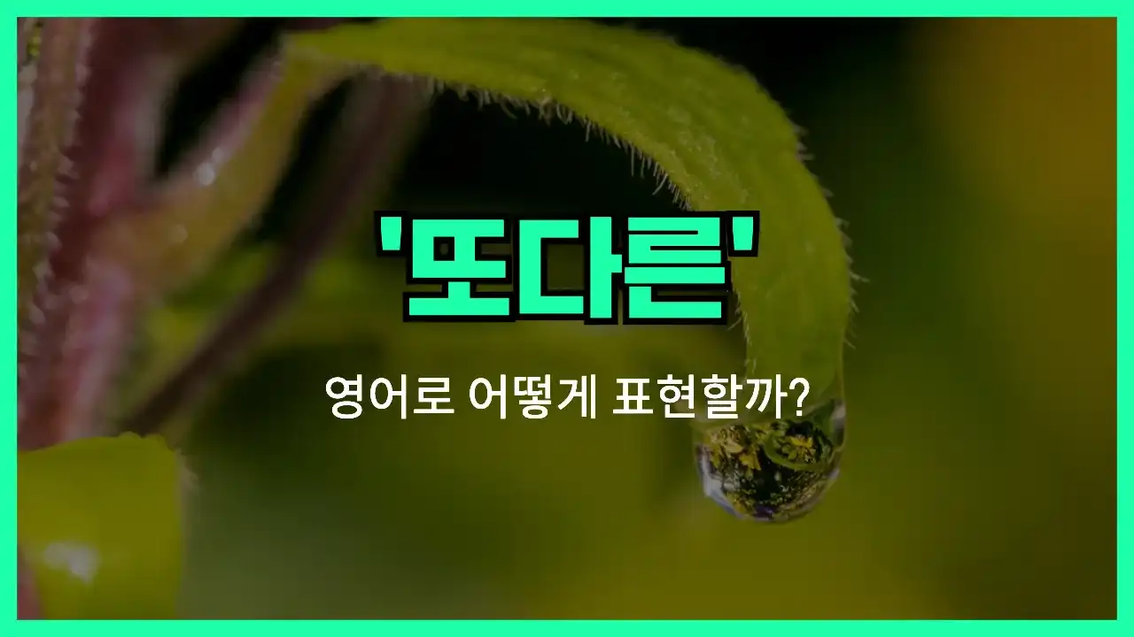 'another' 영어표현 썸네일