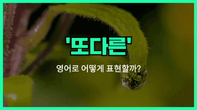 'another' 영어표현