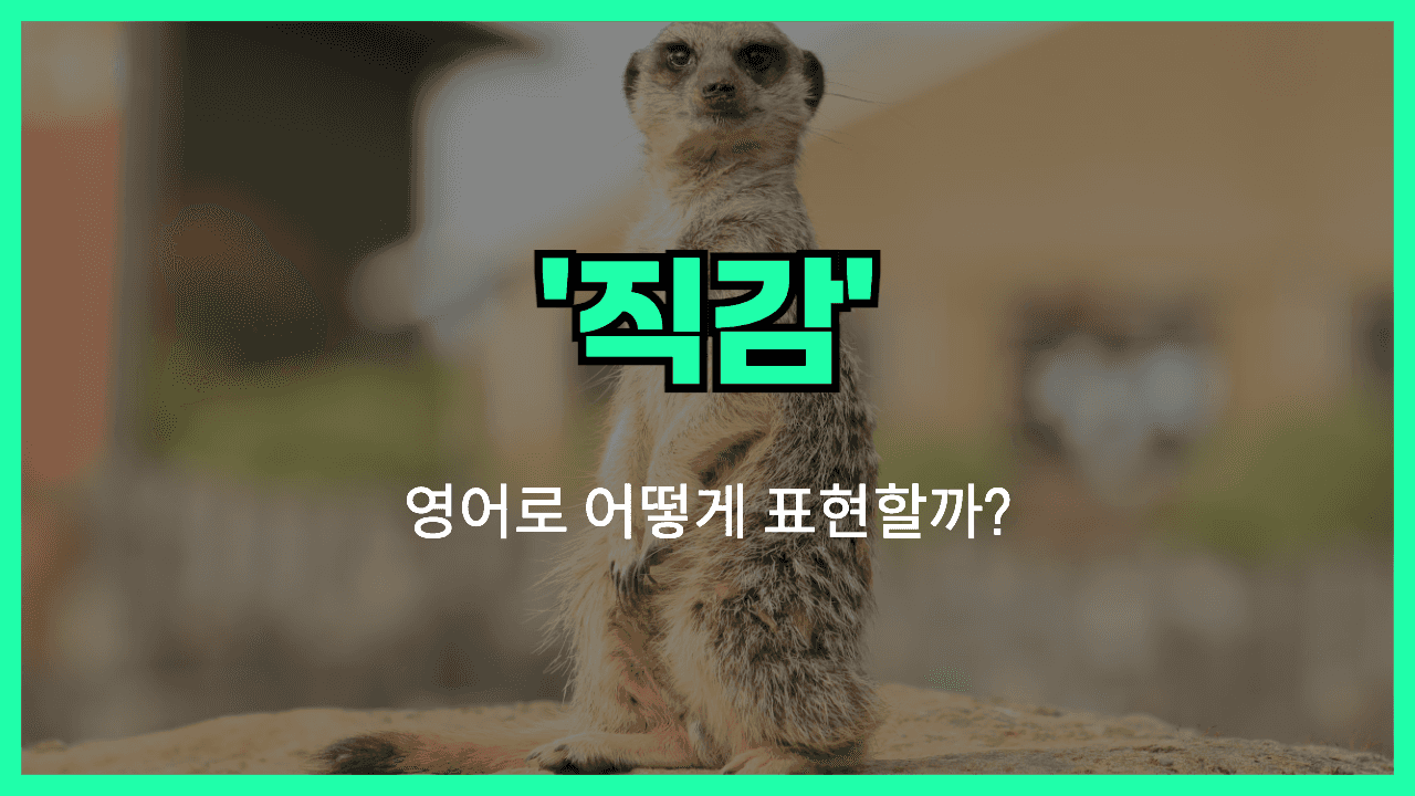 악화되다 영어표현 썸네일