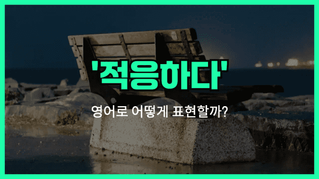 'settle in (적응하다)' 영어표현