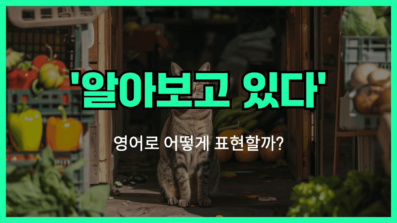 알아보고 있다 영어표현