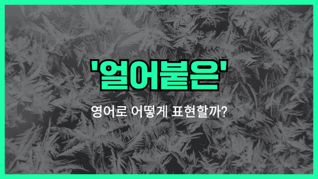 'frozen' 영어표현