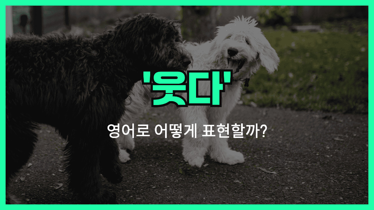 웃다 영어표현 썸네일