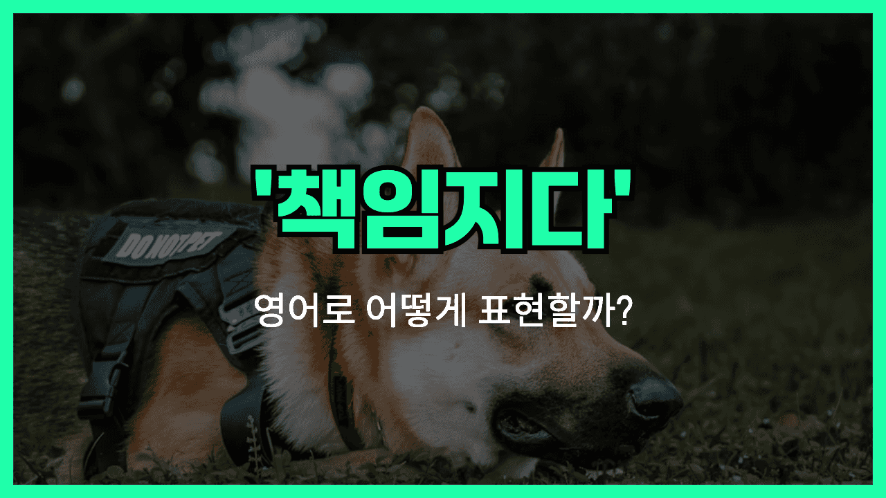 책임지다'영어표현 썸네일