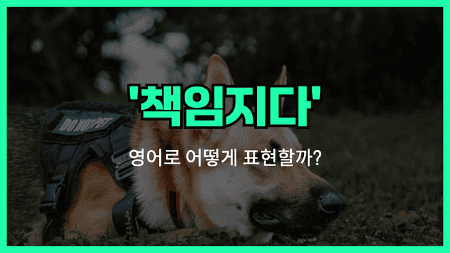 '책임을지다' 영어표현 썸네일