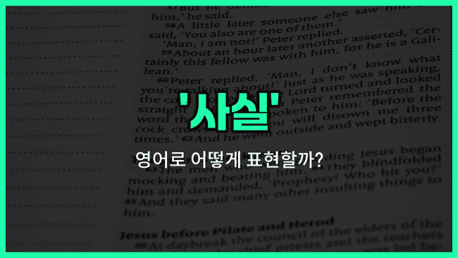'fact' 영어표현