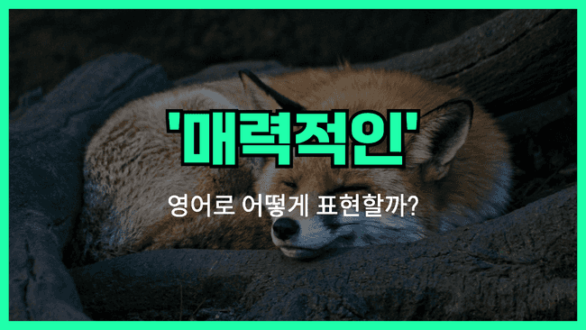 'attractive' 영어표현