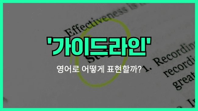 'guideline' 영어표현