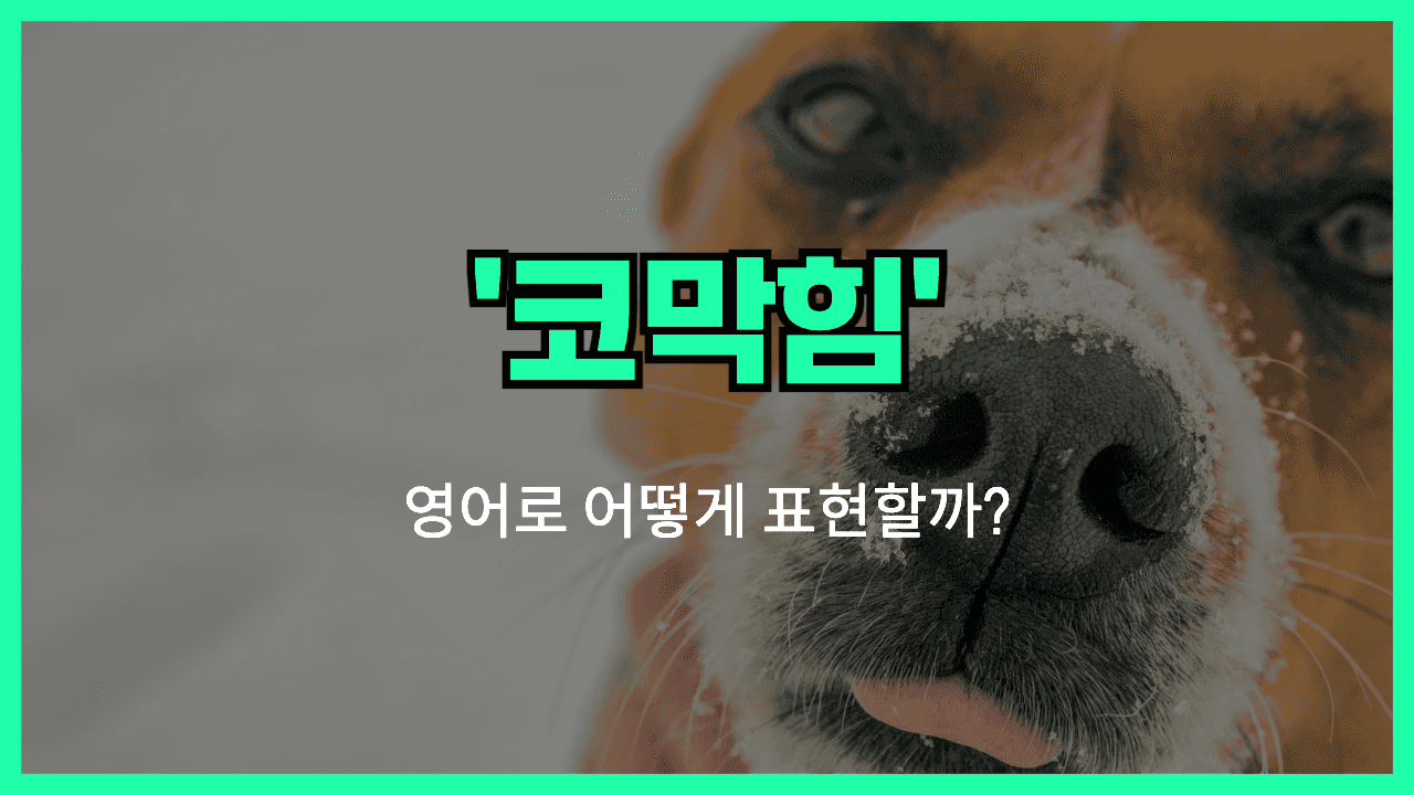 확인하다 영어표현 썸네일