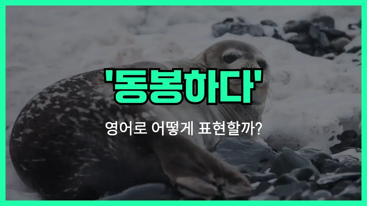 'seal (verb)' 영어표현 썸네일