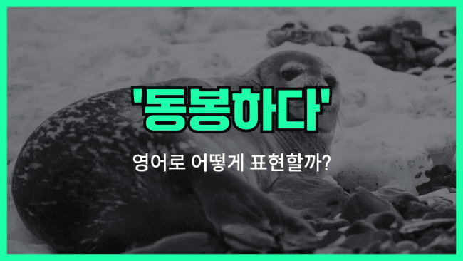 'seal (verb)' 영어표현