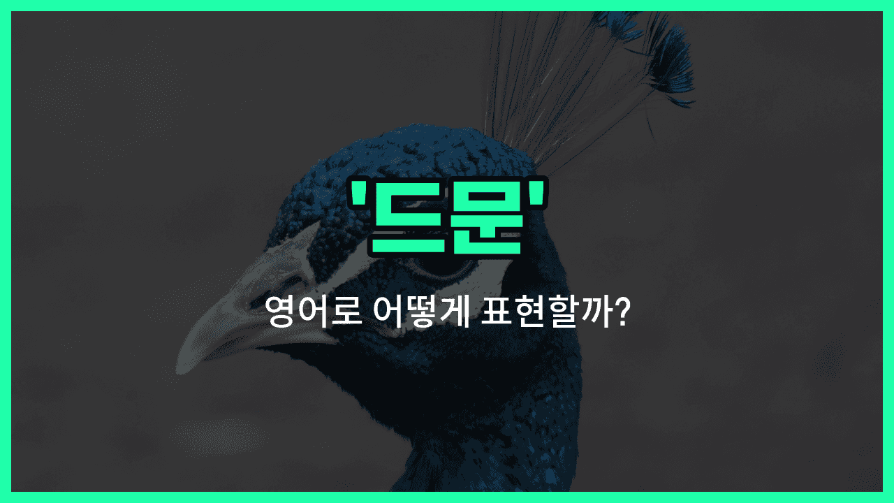 'rare' 영어표현 썸네일