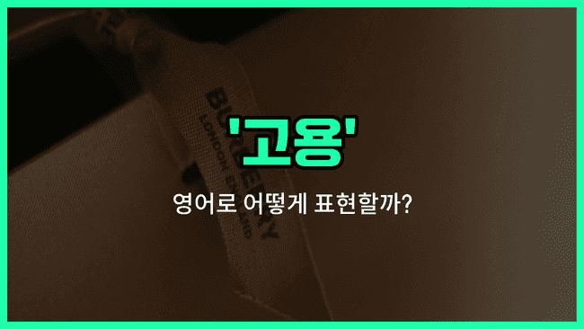 'employment' 영어표현