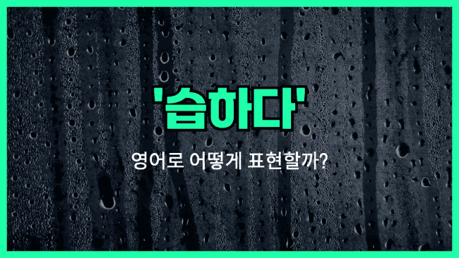 'humid' 영어표현