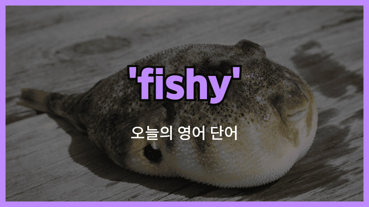 fishy 영어표현