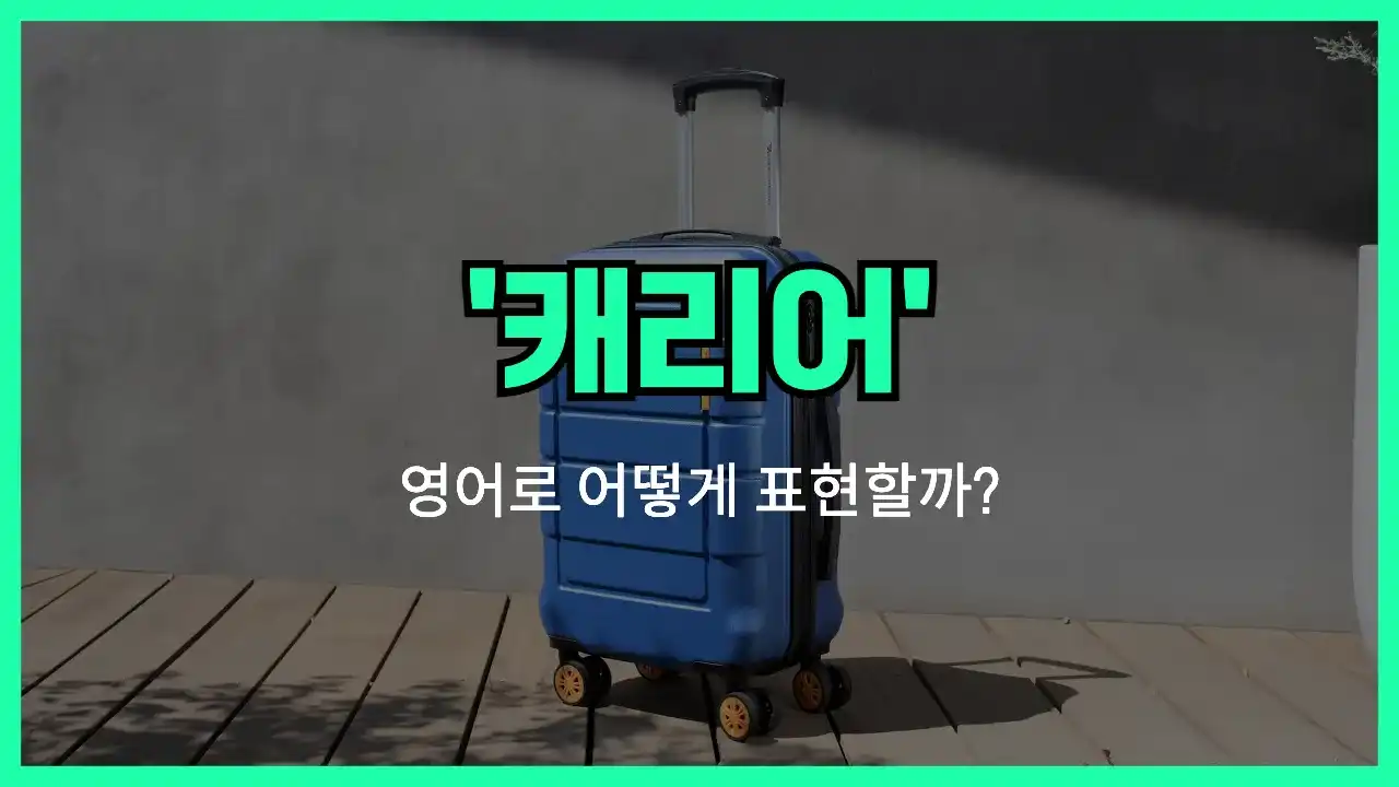 'suitcase' 영어표현 썸네일