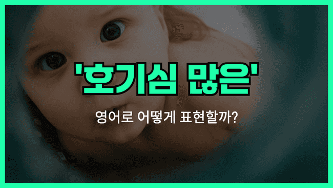 호기심 많은 영어표현 썸네일 이미지