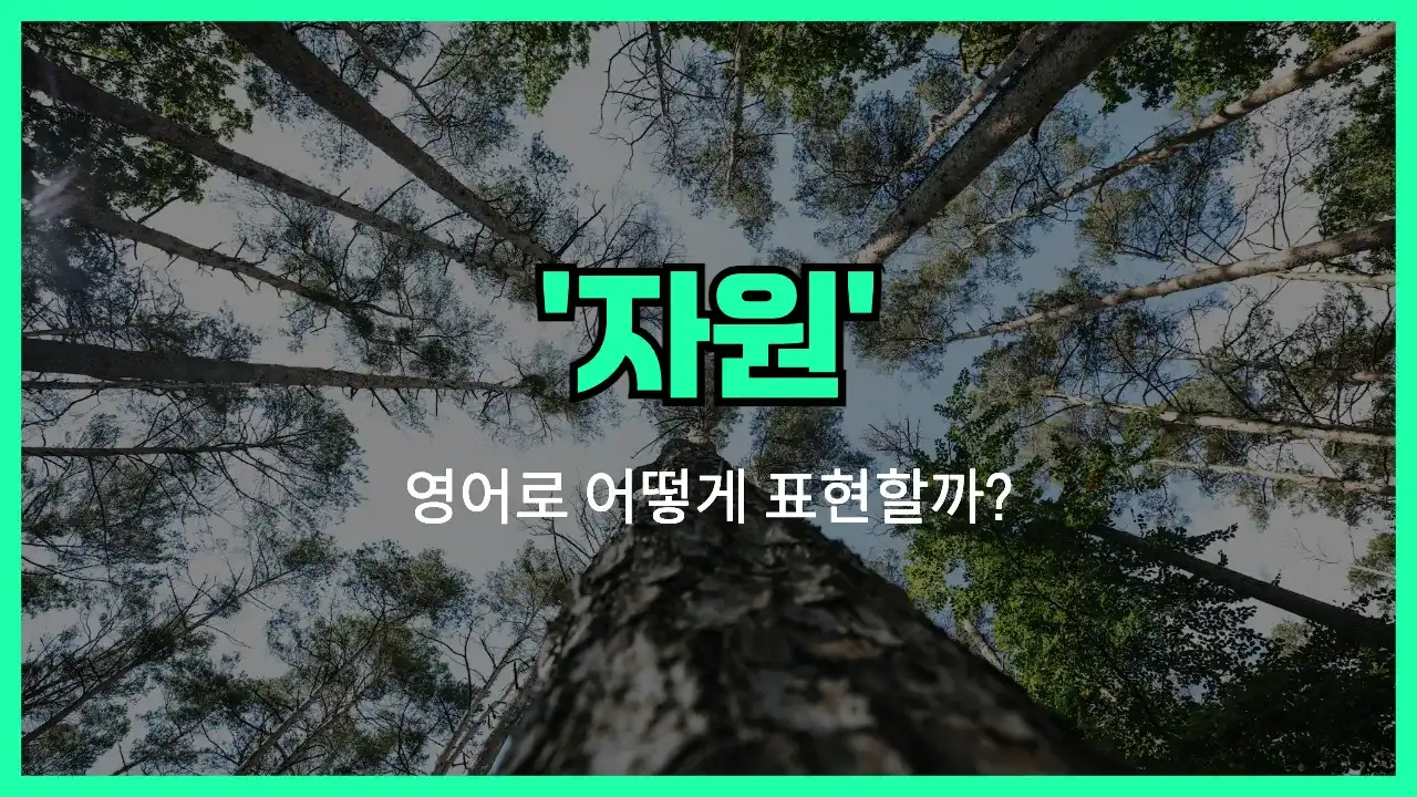 'resource' 영어표현 썸네일