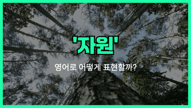 'resource' 영어표현