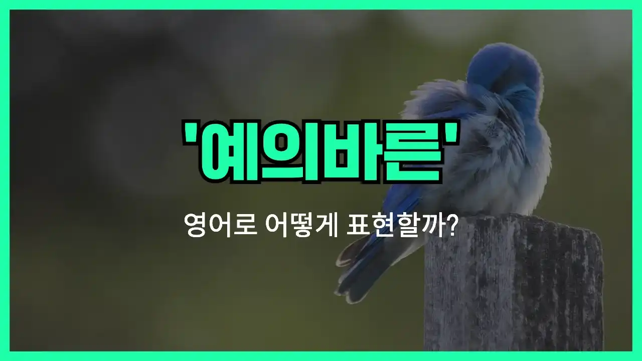 'polite' 영어표현 썸네일