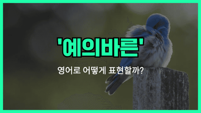 'polite' 영어표현