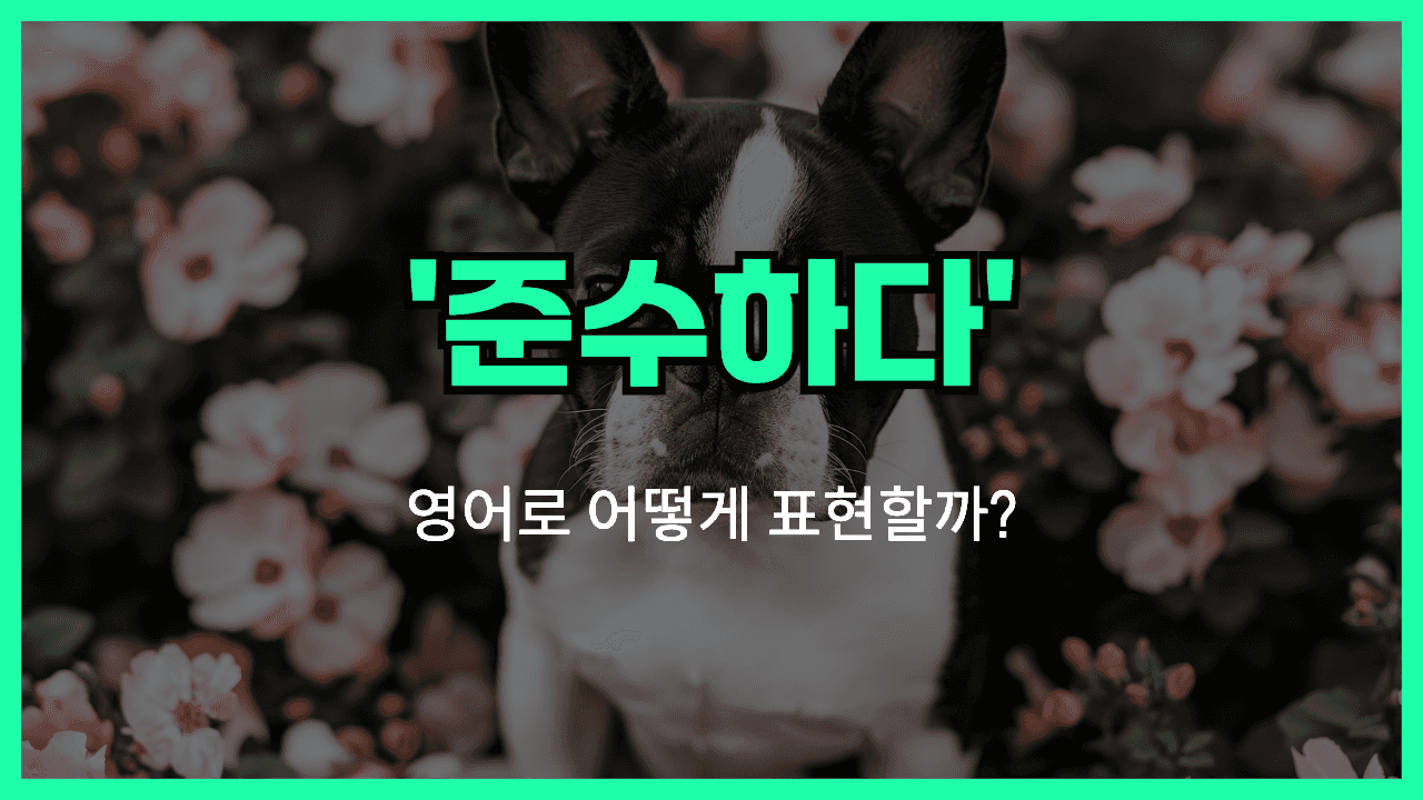 준수하다 영어표현