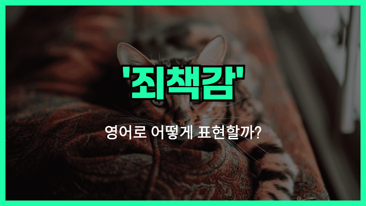 죄책감 영어표현 썸네일