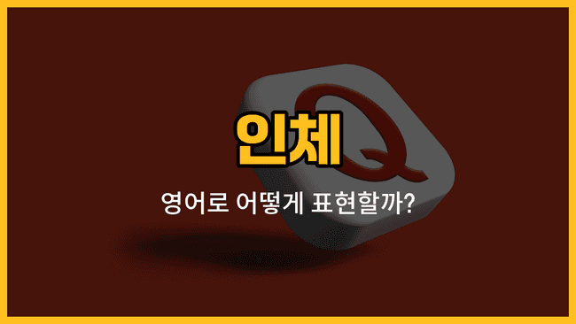 인체 주요 부위 영어 단어와 발음, 예문을 소개하는 블로그 썸네일 이미지