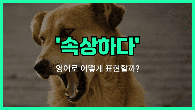'upset' 영어표현