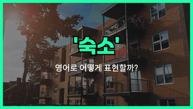 'accommodation' 영어표현
