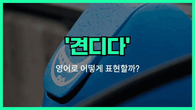 'put up with' 영어표현
