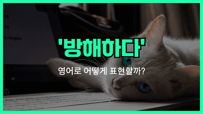 'interrupt' 영어표현
