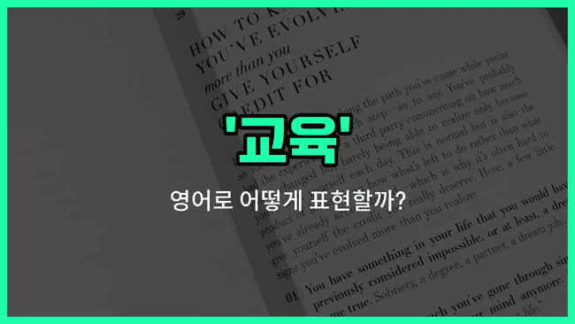 'education' 영어표현