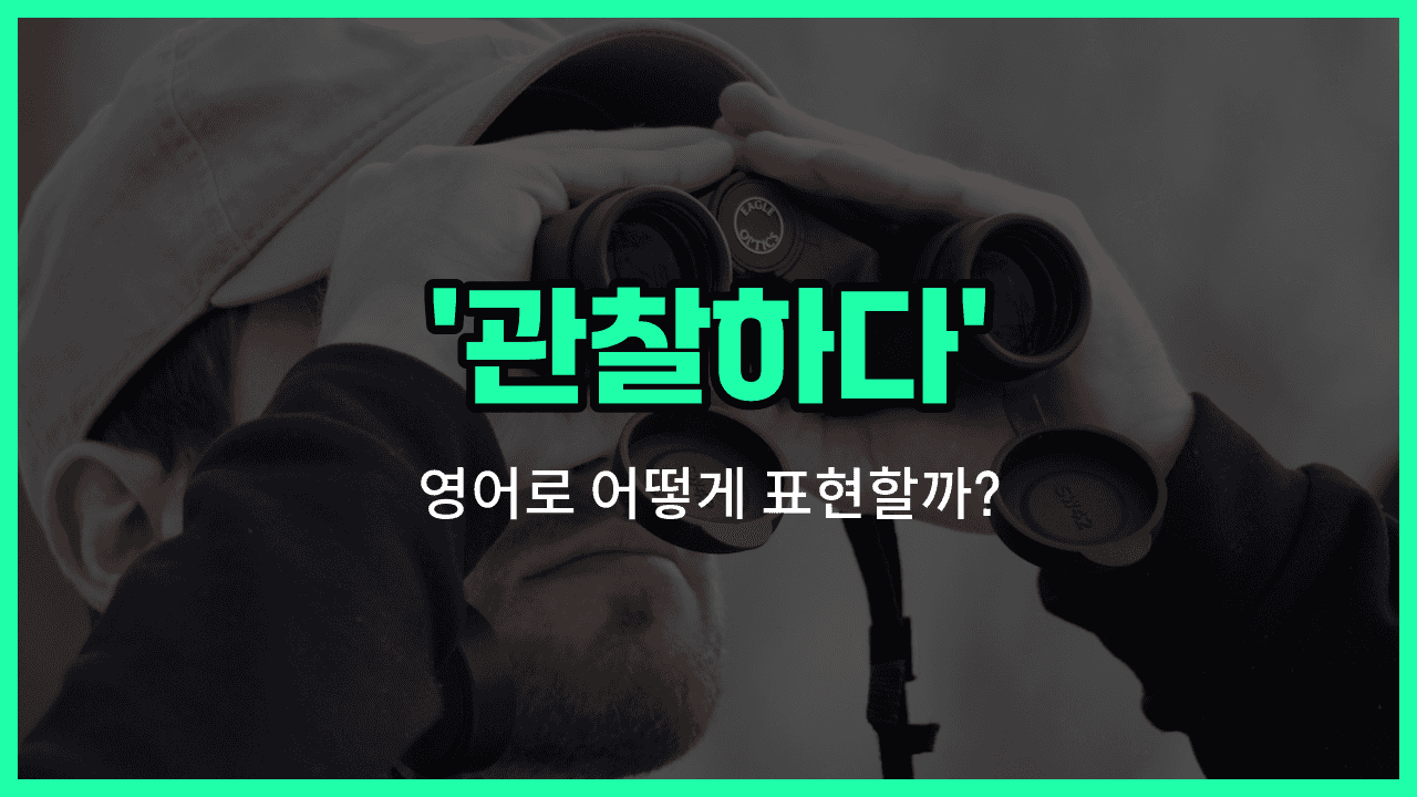 'observe' 영어표현 썸네일