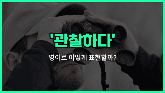 'observe' 영어표현