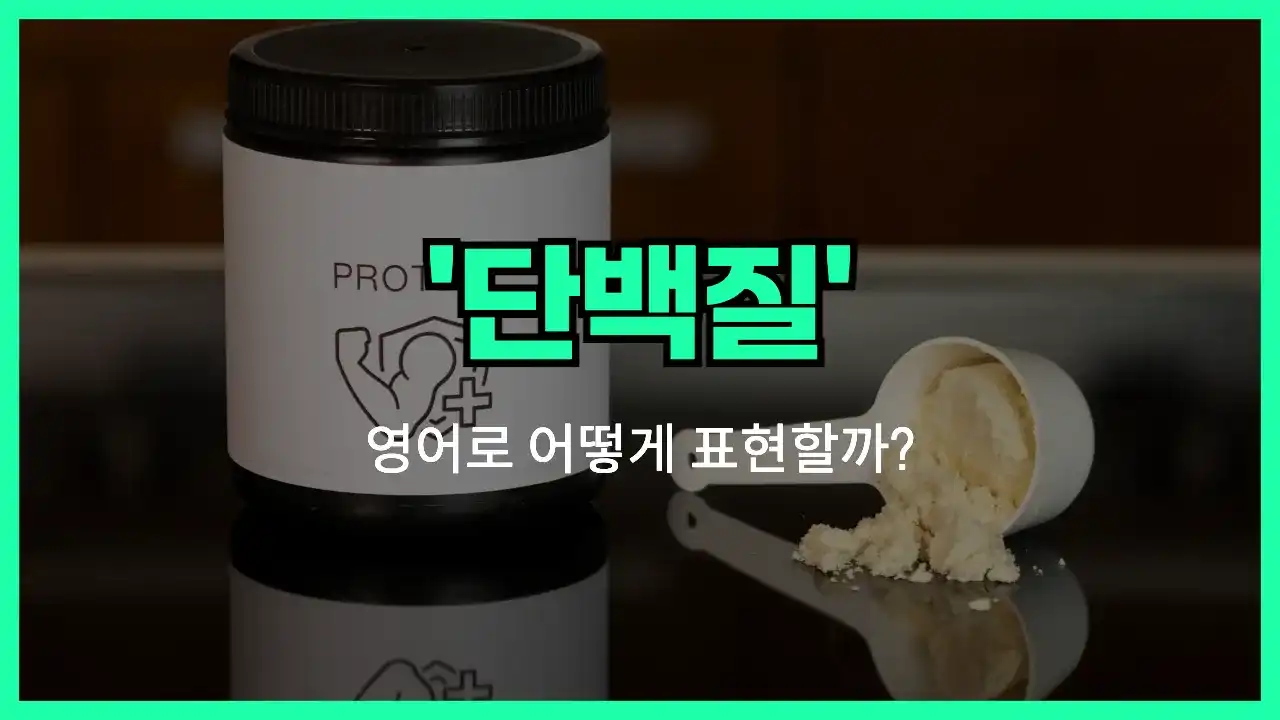 'protein' 영어표현 썸네일