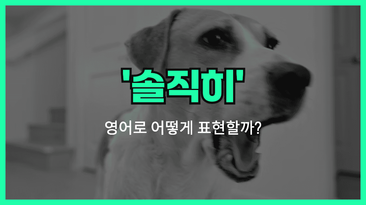 '솔직히' 영어표현 썸네일