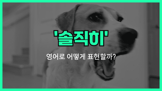'솔직히' 영어표현 썸네일