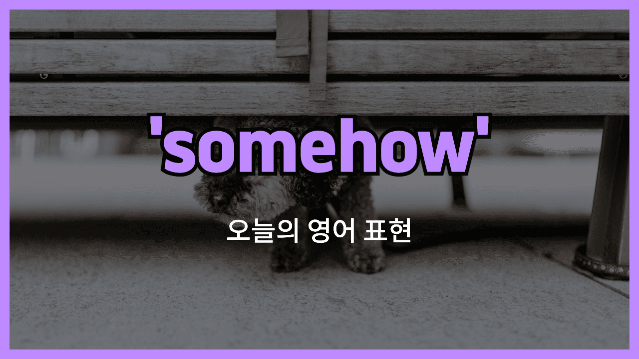 somehow 영어표현 썸네일