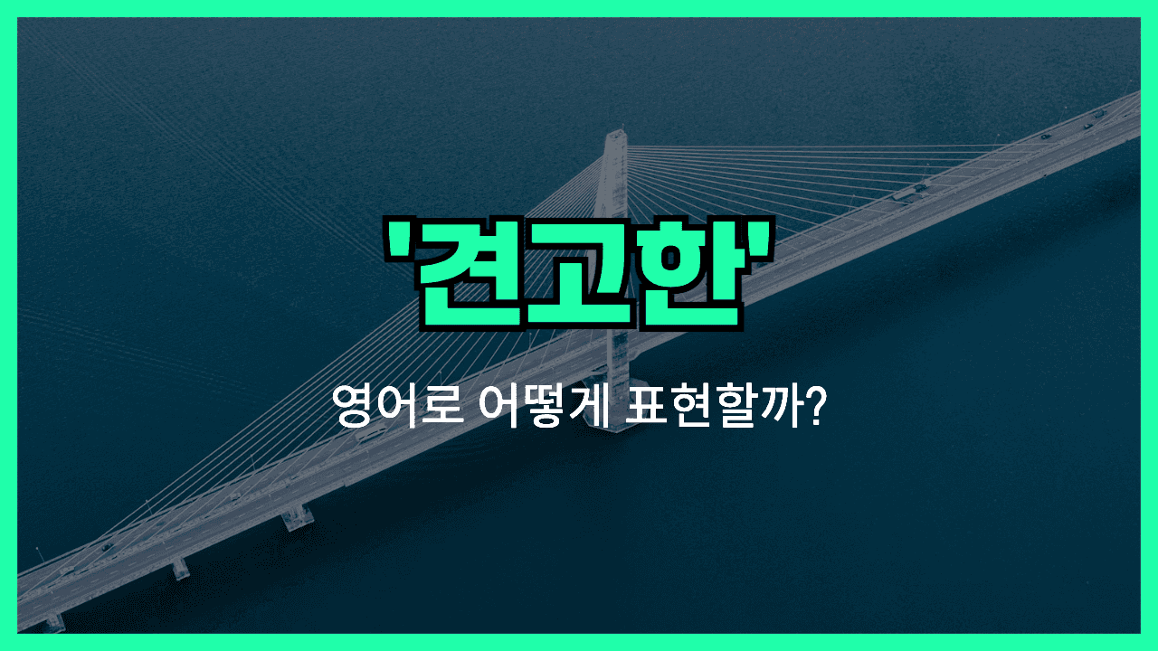 'robust' 영어표현 썸네일