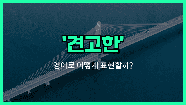 'robust' 영어표현 썸네일