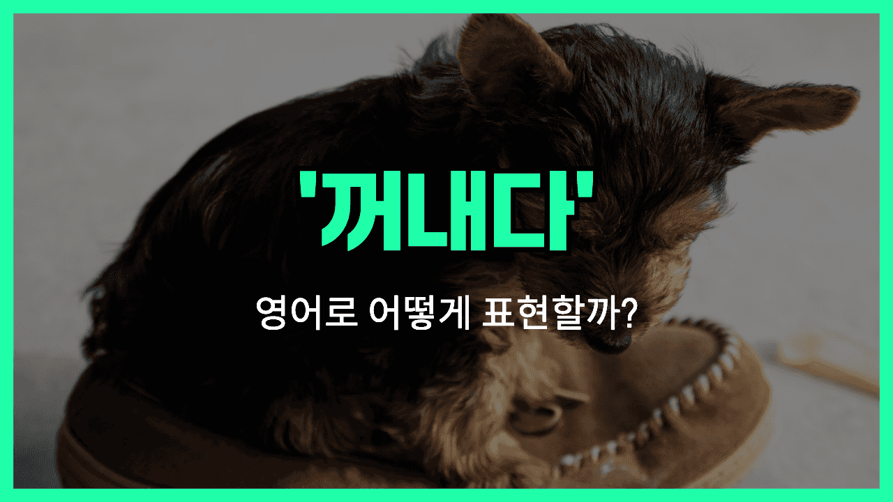 'take out' 영어표현 썸네일
