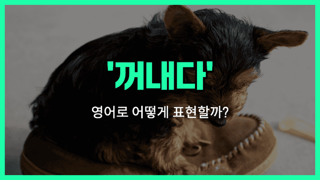 'take out' 영어표현