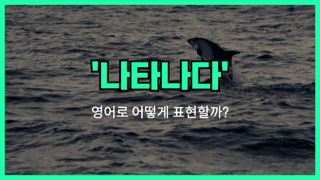'show up' 영어표현