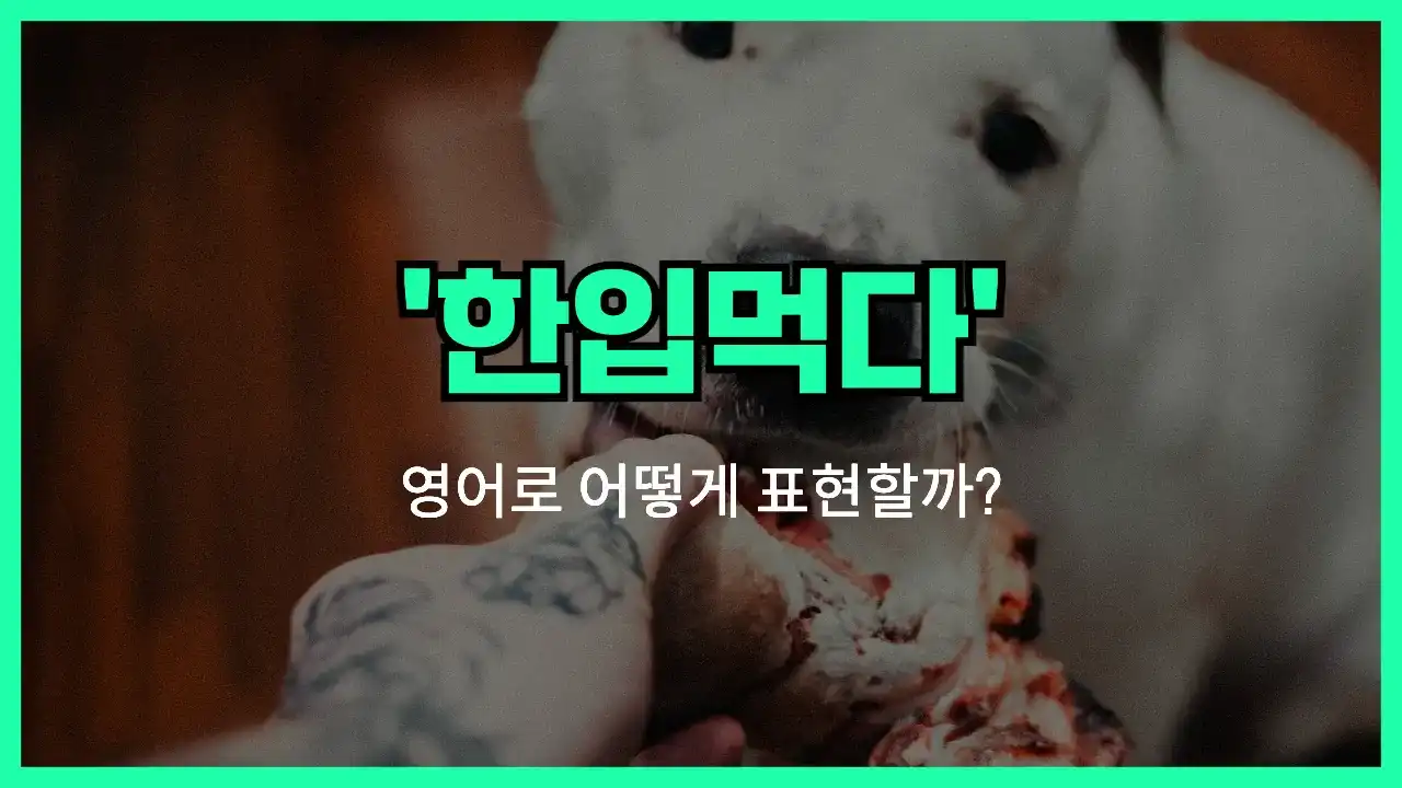 'have a bite' 영어표현 썸네일