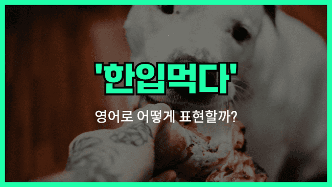 'have a bite' 영어표현