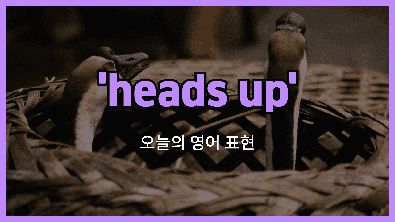 heads up 영어표현 썸네일