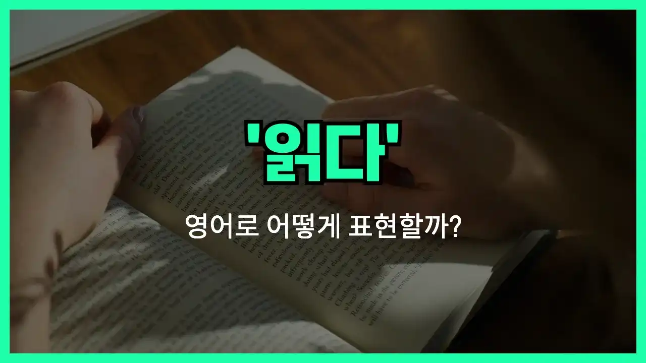 'read' 영어표현 썸네일