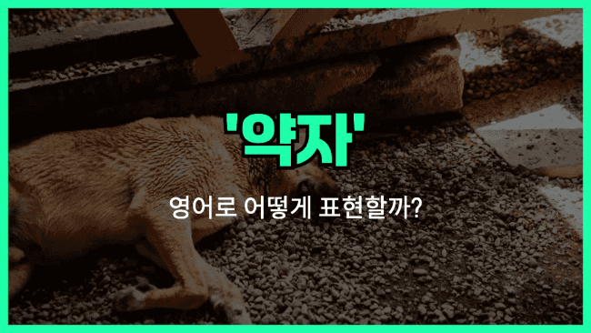'underdog' 영어표현